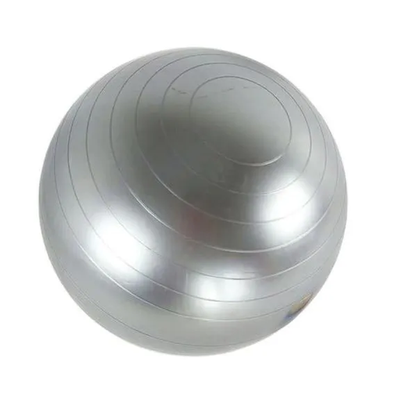 Fitness Gymnastic Ball - Silver