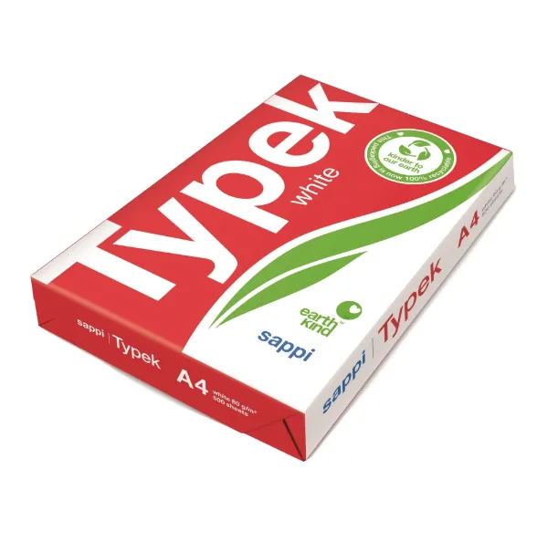 2 Reams Multi-Purpose A4 Printing Paper - 500 Sheets Per Ream
