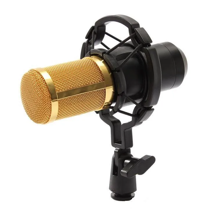 Pro Stage/Music/Broadcast Condenser Microphone & Studio Equipment Set B/GLD