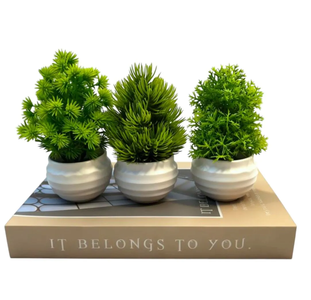 3piece Luxe Mini Artificial Succulent Plants in Ceramic Pots