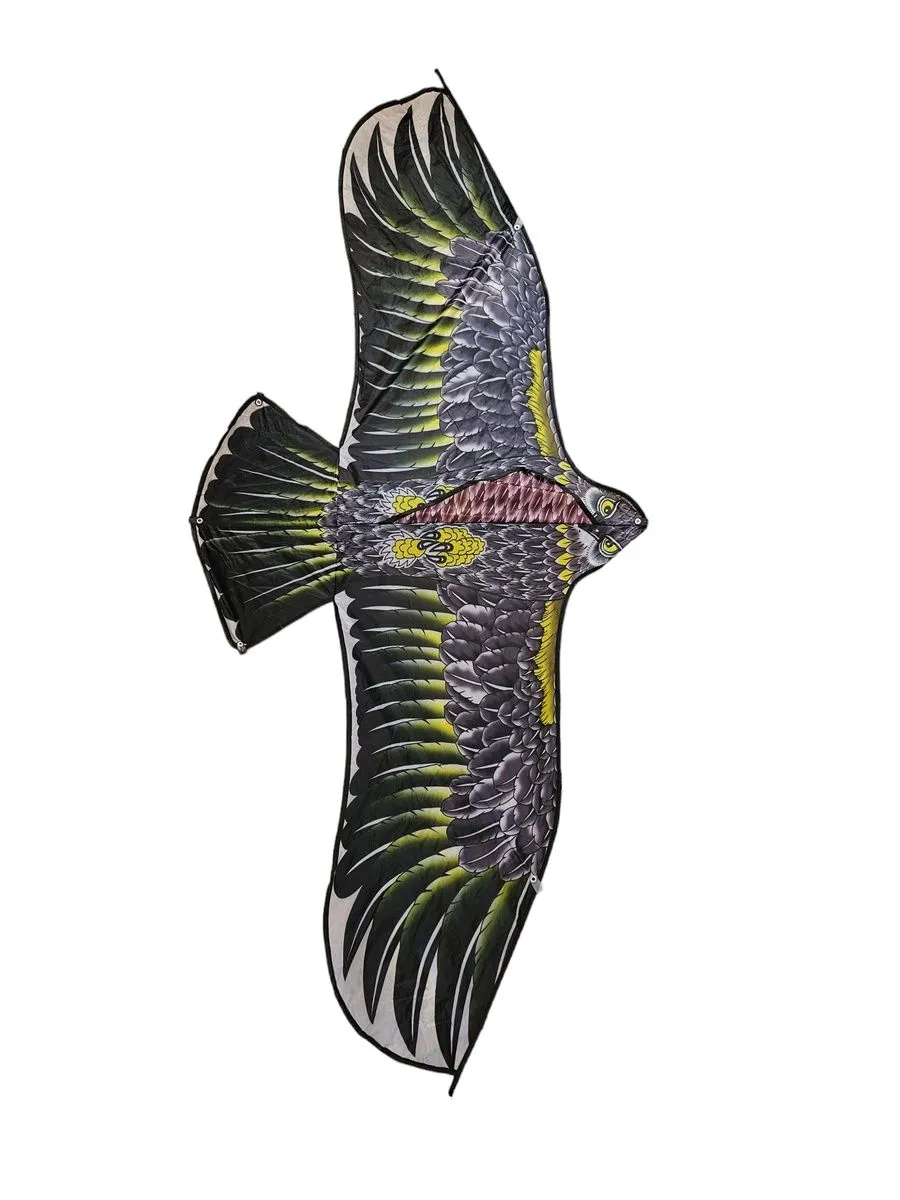 Adults Easy to Ride and Fly Kite