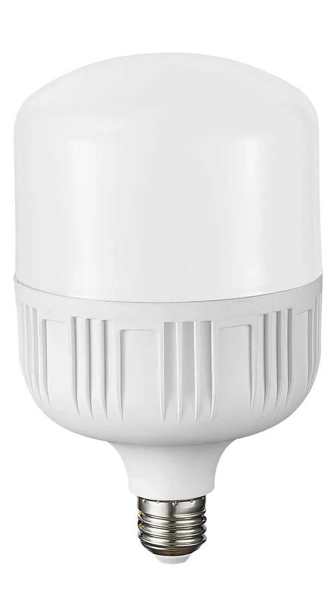 24 Watt LED Bulb in Cool White - T100