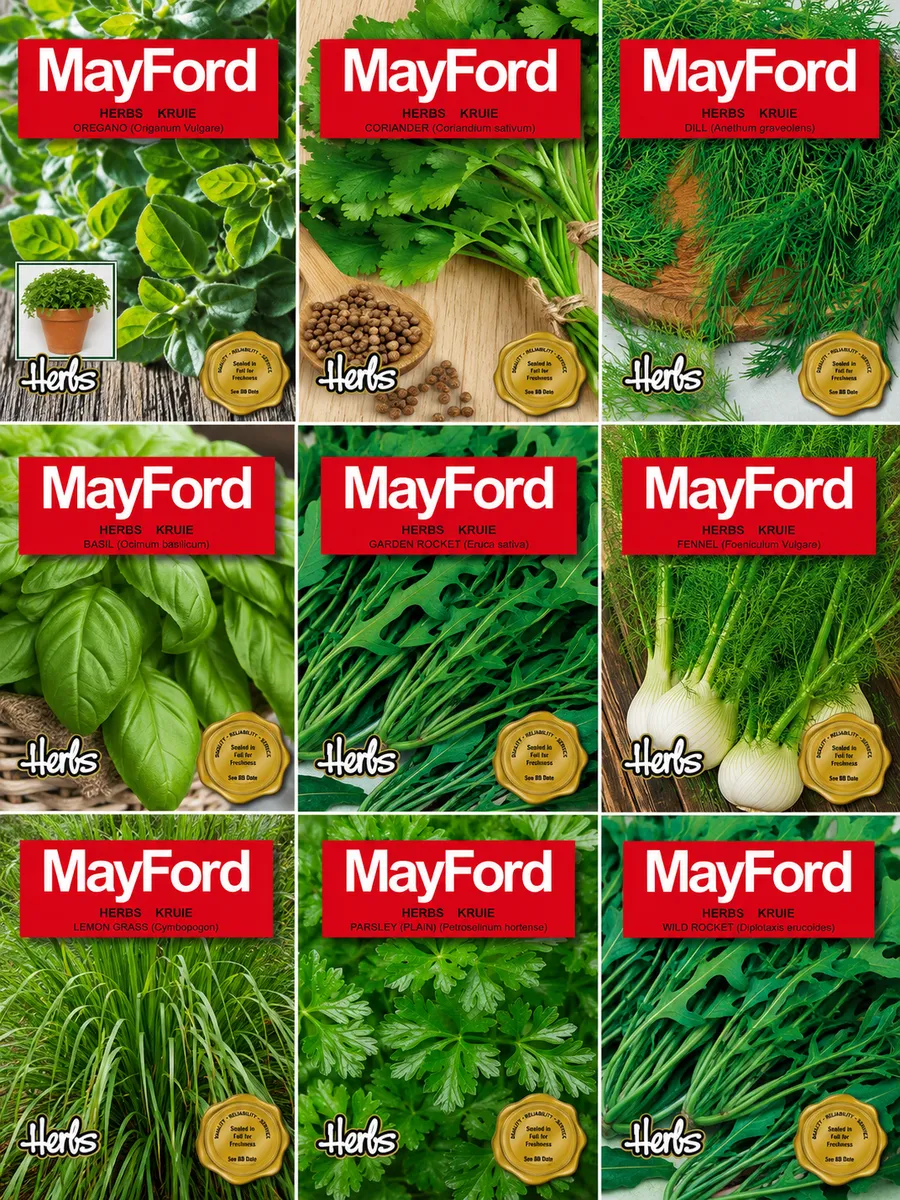 Mayford 9 Pack Herb Seed Collection