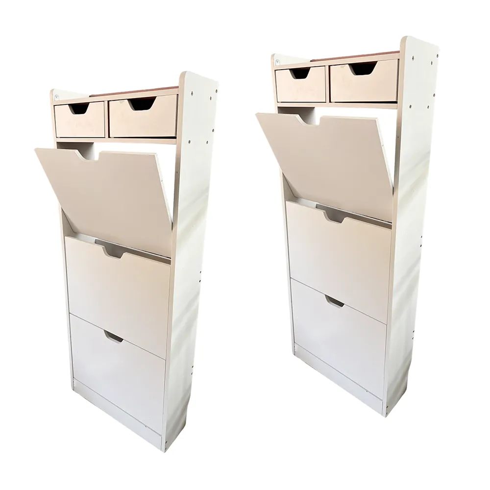 2-Pack Dustproof Flip-Top Shoe Cabinet for Home Use