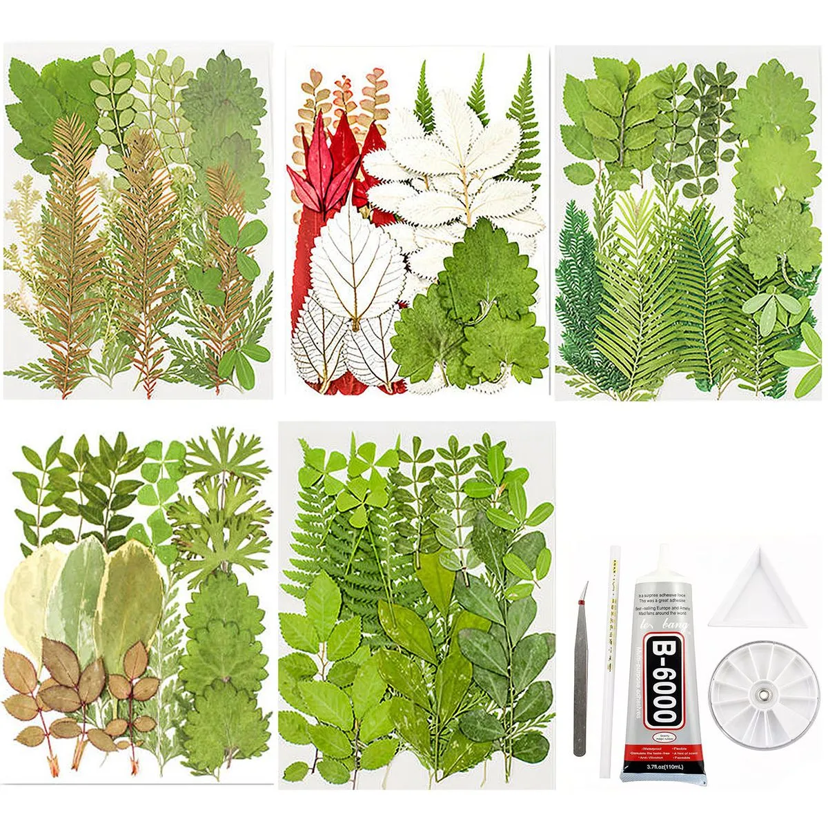 Dried Pressed Flowers For Resin Scrapbooking Candle Soap Nail Art Kit - Green