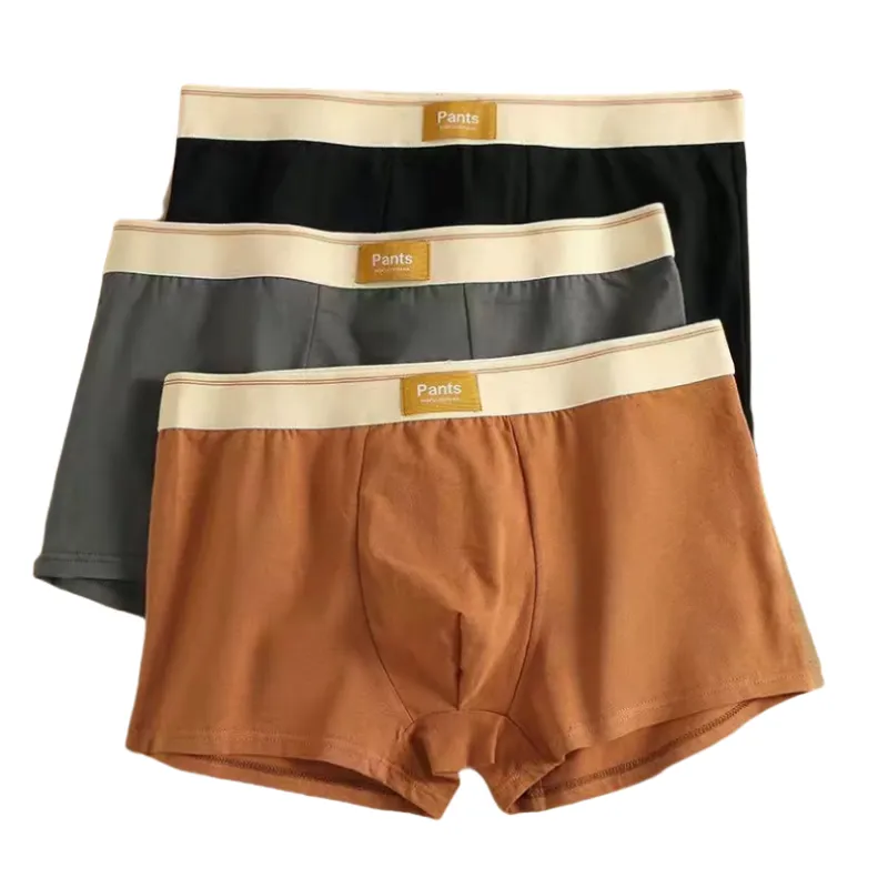 IPSTYLE Men Panties Cotton BoxerShorts Man Underwear Mens Boxers