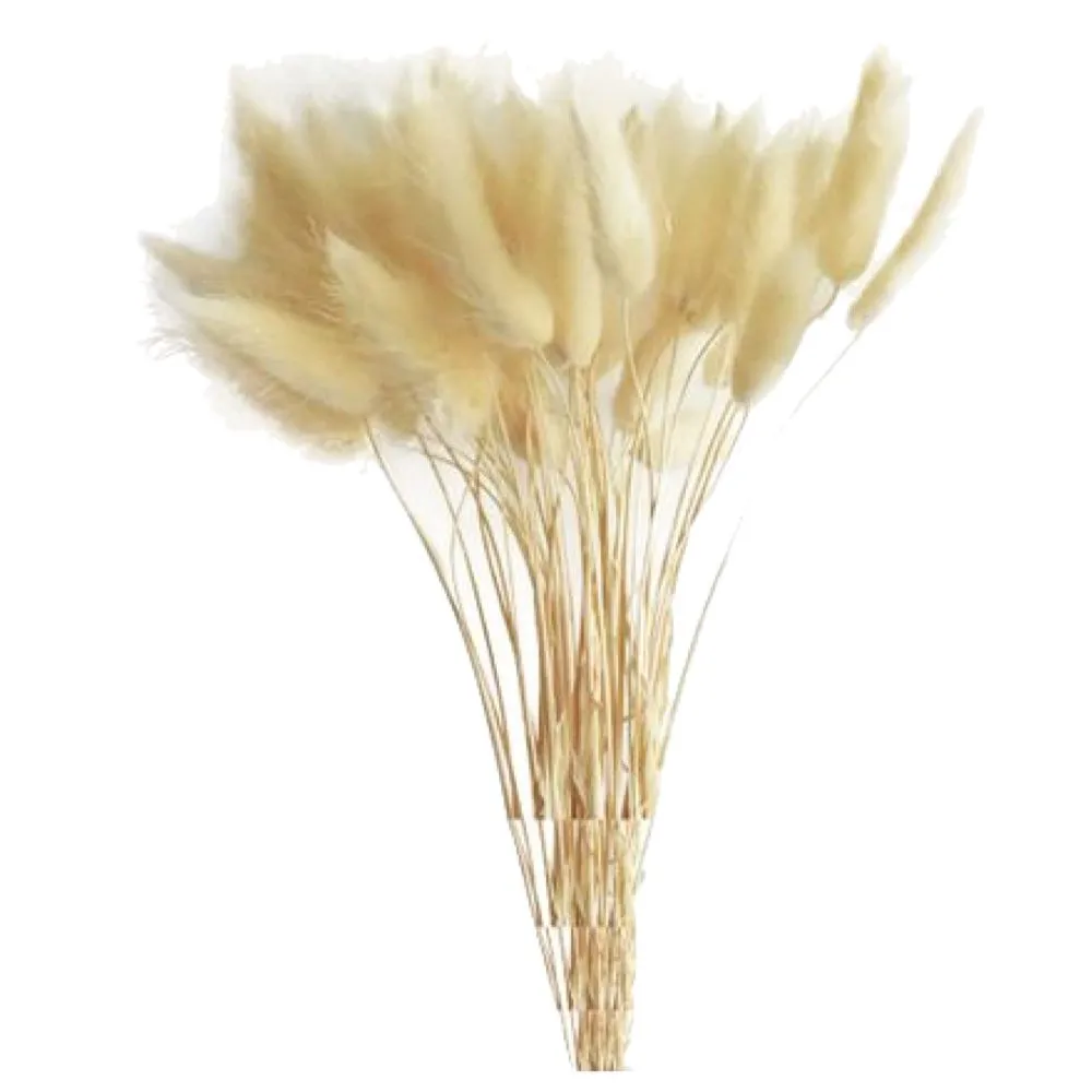 Decor Fluffy Natural Looking Artificial Flowers For Table Decorations 50 Piece - Cream White