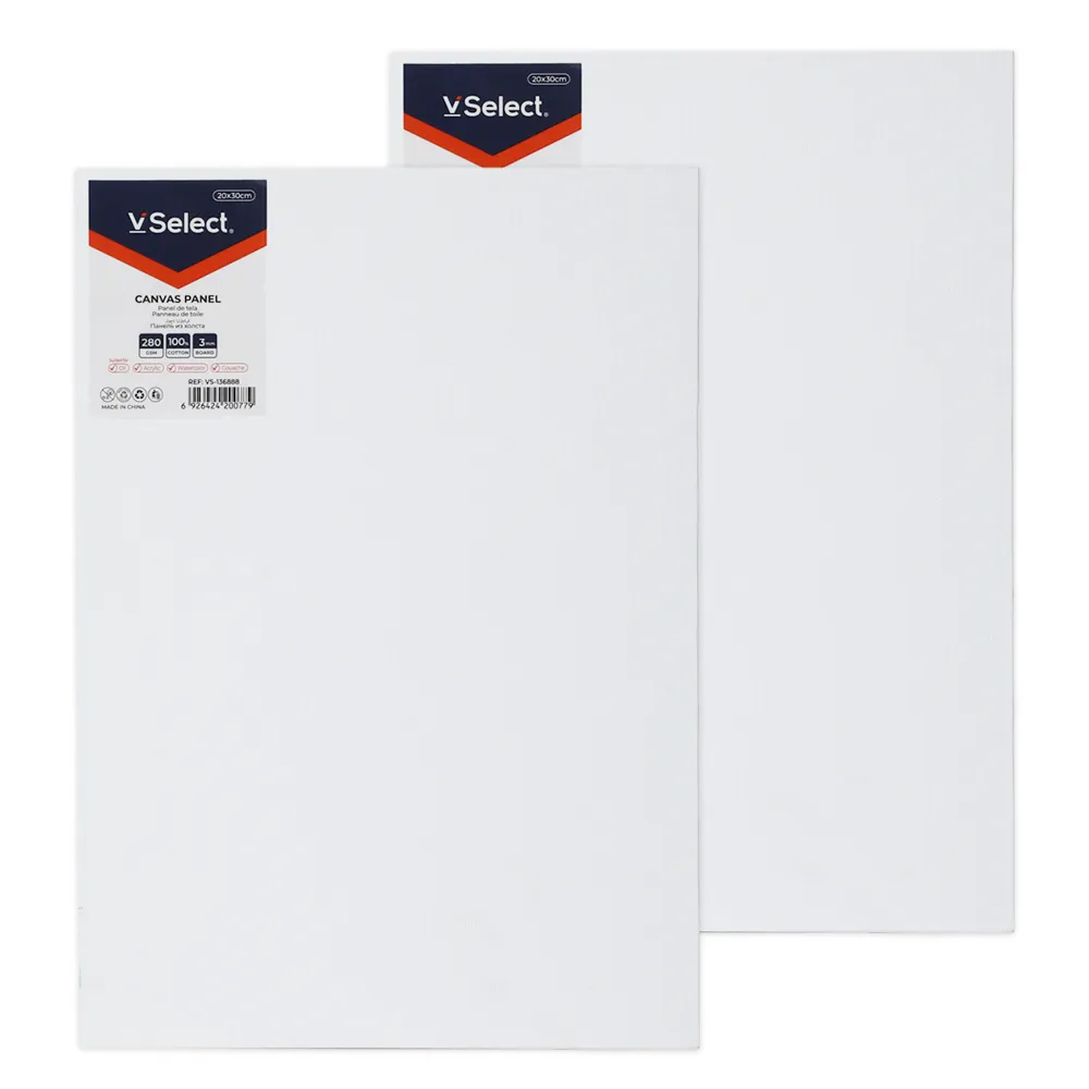 VSelect-20x30cm A4 Canvas Panels for Painting, Cotton Canvas Boards - 2 Pack