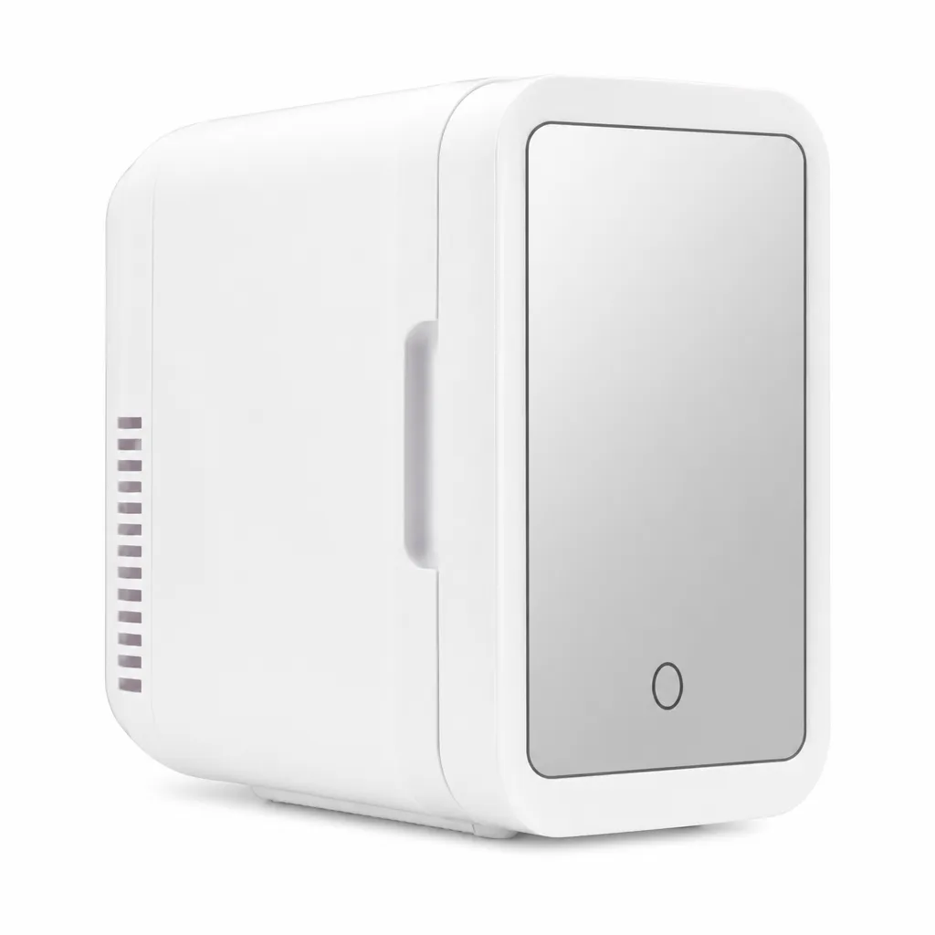 Mini Fridge 4L with Ac Dc Power Compact Design for Products