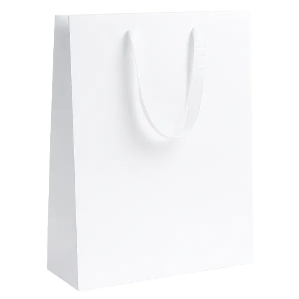 Premium Ribbon Handle Paper Gift Bags - 400 x 300 x 100mm - Pack of 10 - A3 White