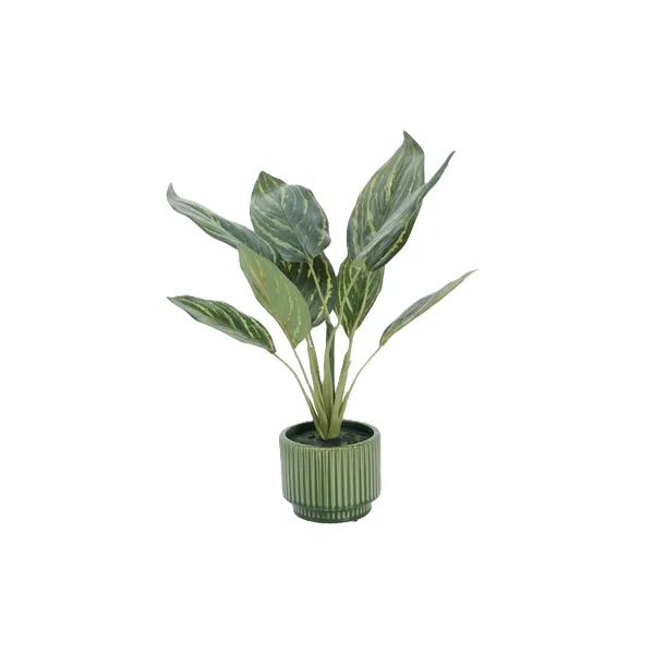 Kitro Varigated Leaf Reed Grass In Glaze Pot, 14x48cm