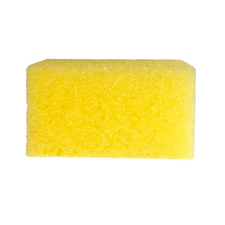 Body Exfoliating Sponge