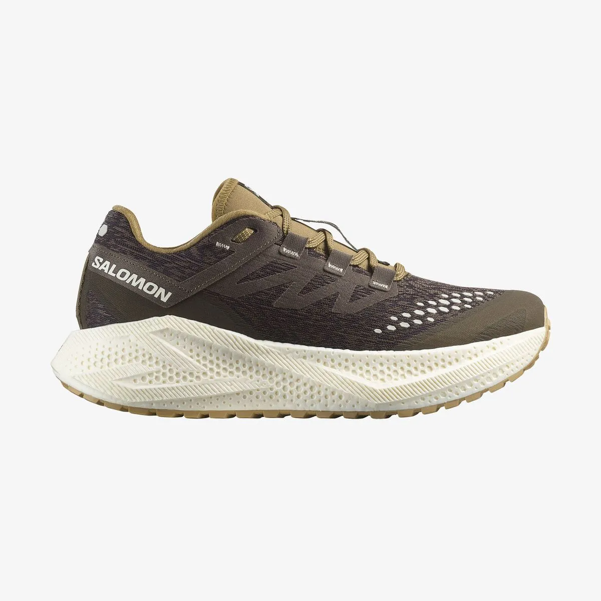 Salomon Men's Aero Glide 3 Gravel Running Shoes