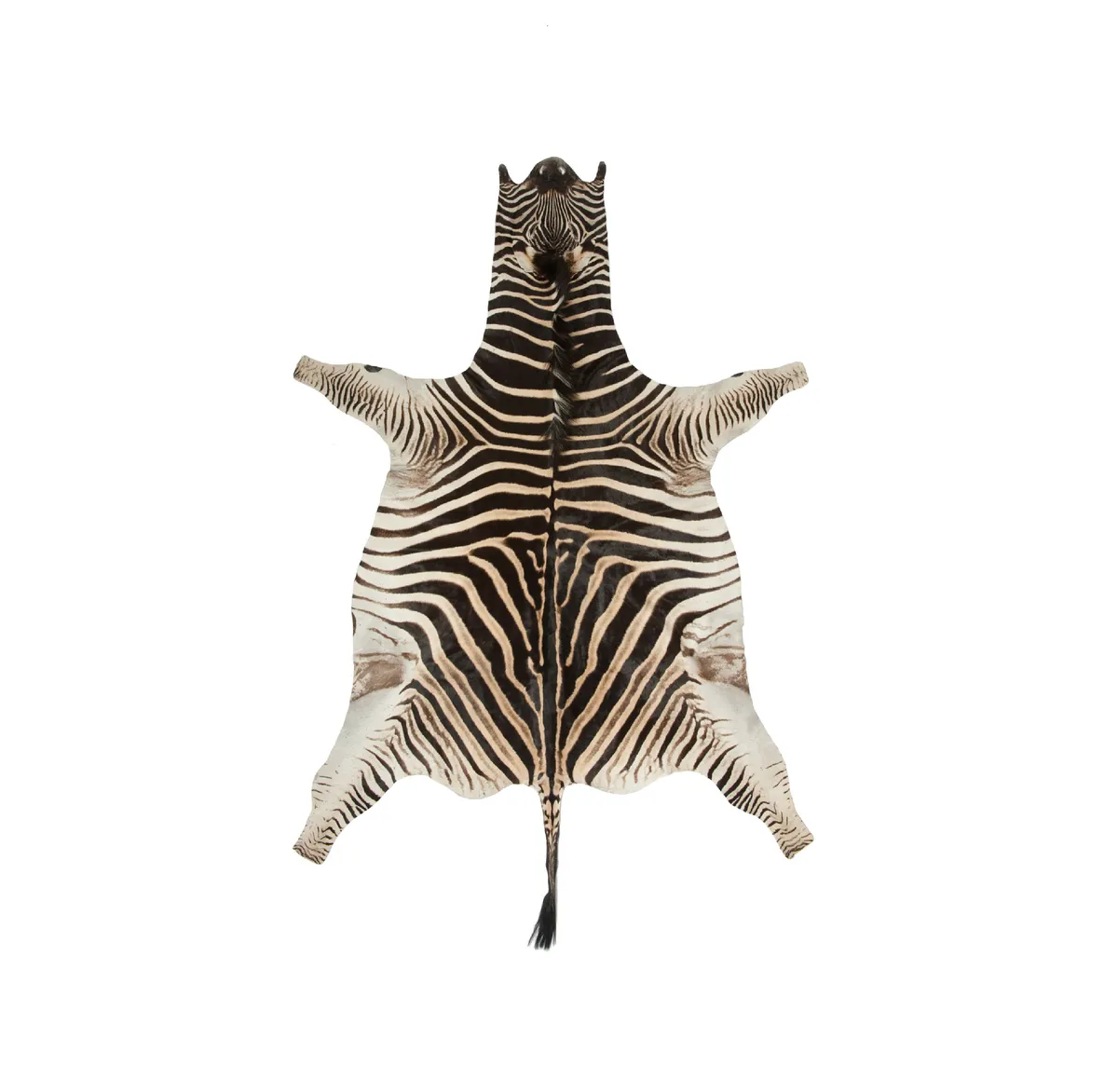 Burchell's Zebra Leather Hide/Rug ( A-Grade)