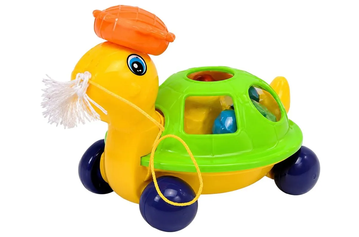Pull Along Turtle Shape Sorter Toy
