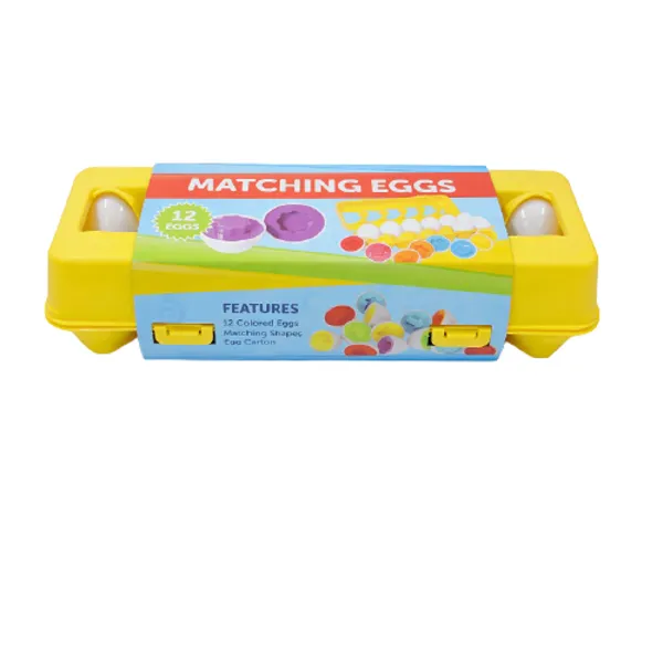 Set Of 12 Eggs Matching Toy