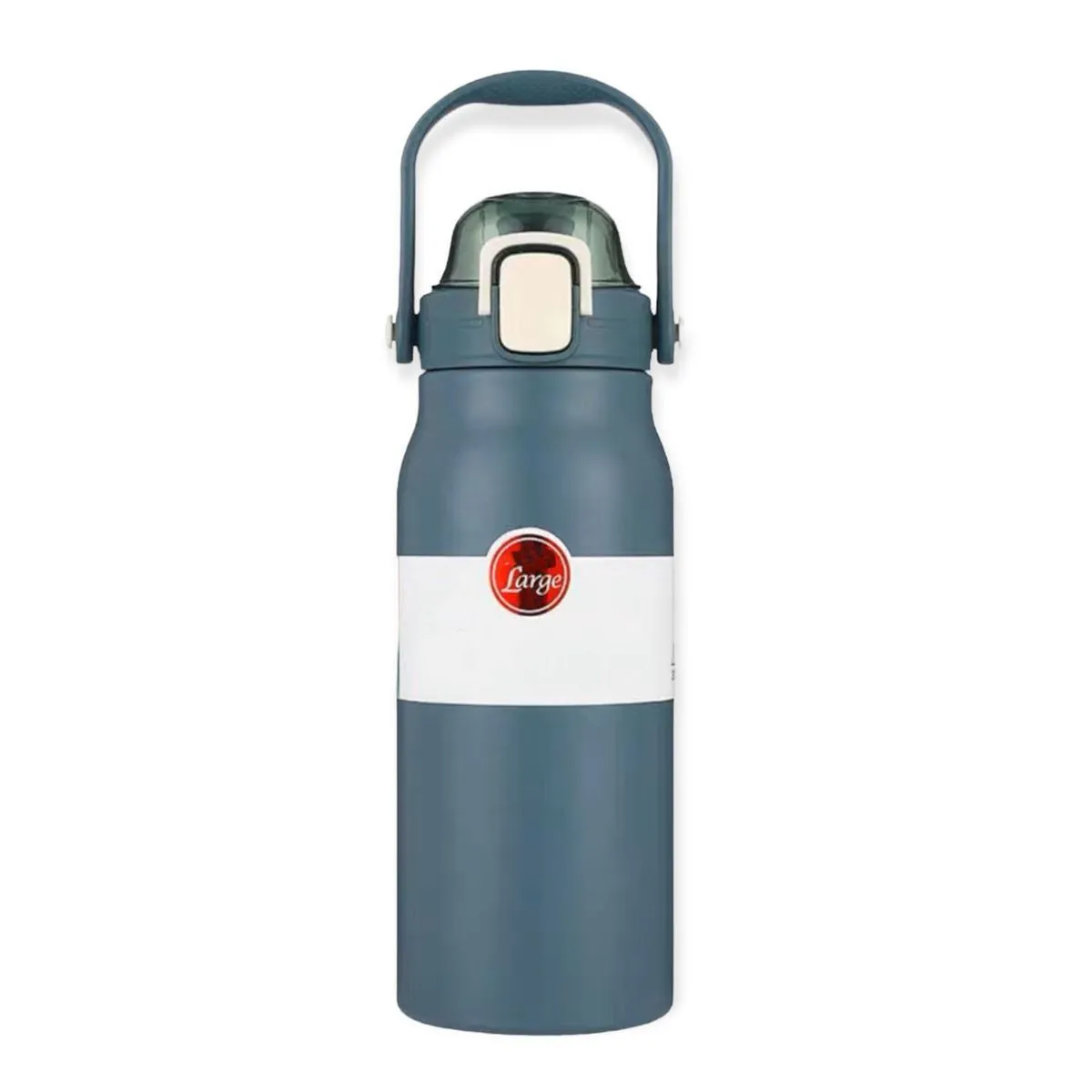1L Drink It Up Insulated Flask Hot and Cold - Blue