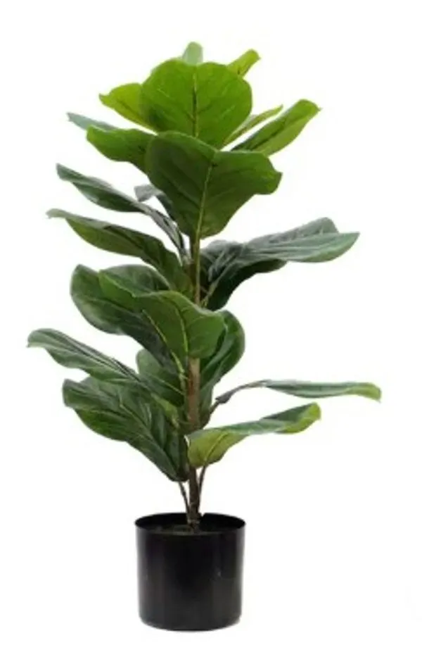 Flexxy Fiddle Leaf Fig Tree for Indoor and Office Decor