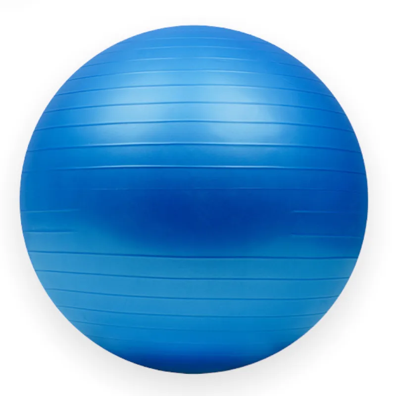 Avalanche Fitness - 75cm Anti-burst Exercise Gym Ball - Blue