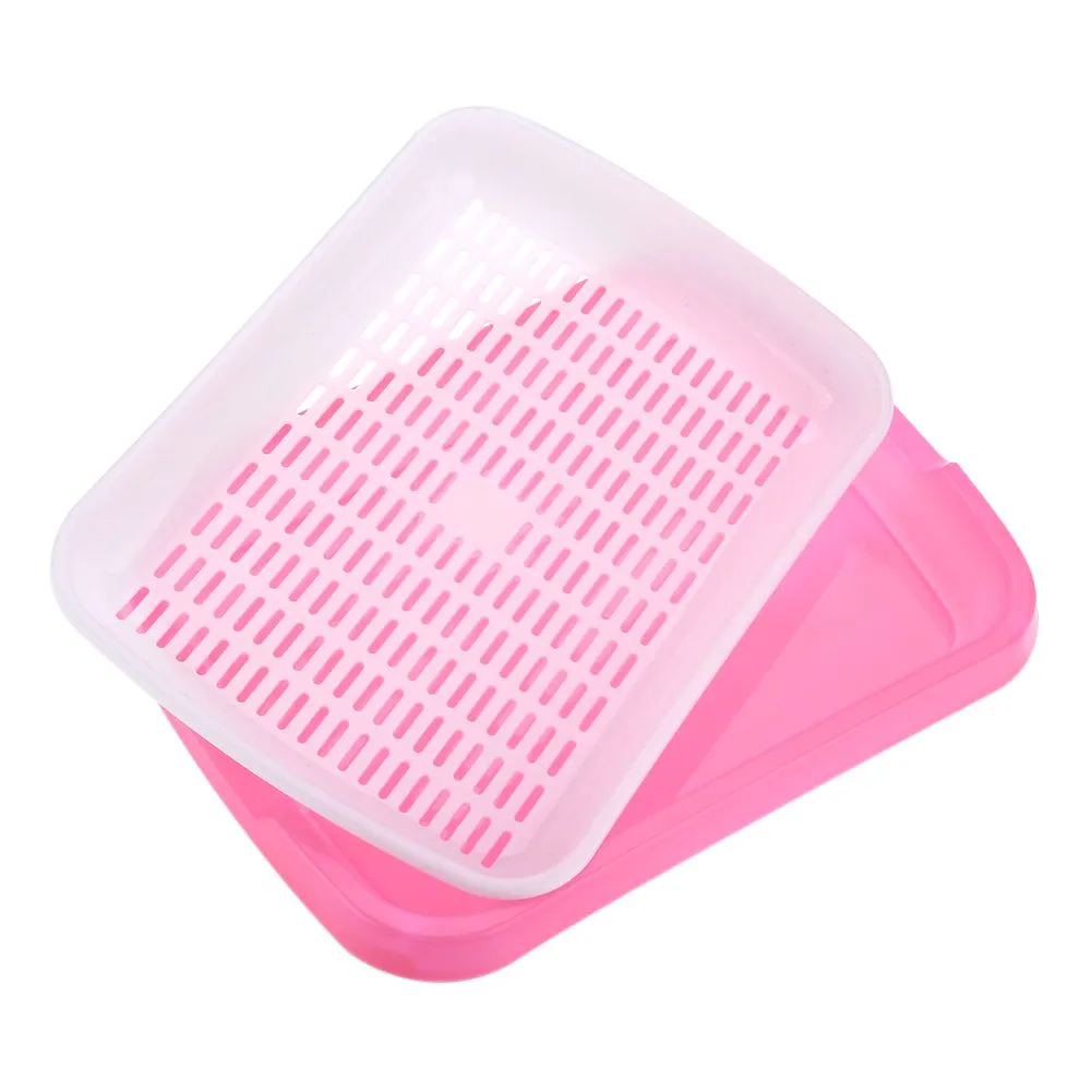 Pink Seed Growing Case
