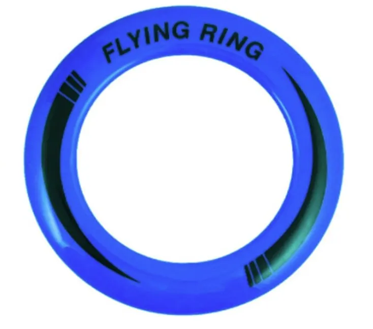 Flying Neon Frisbee Ring - 25cm Glow Throw Disc - Blue