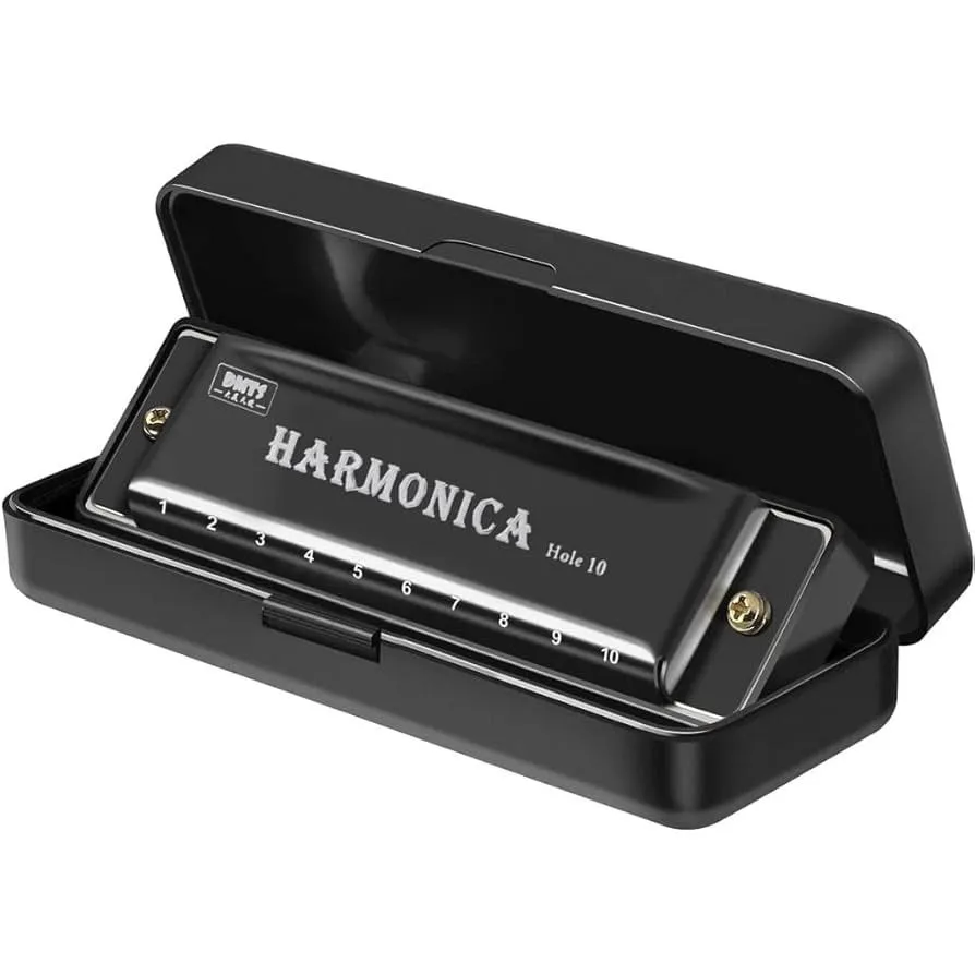 10-Hole Harmonica With Protective Case - Black