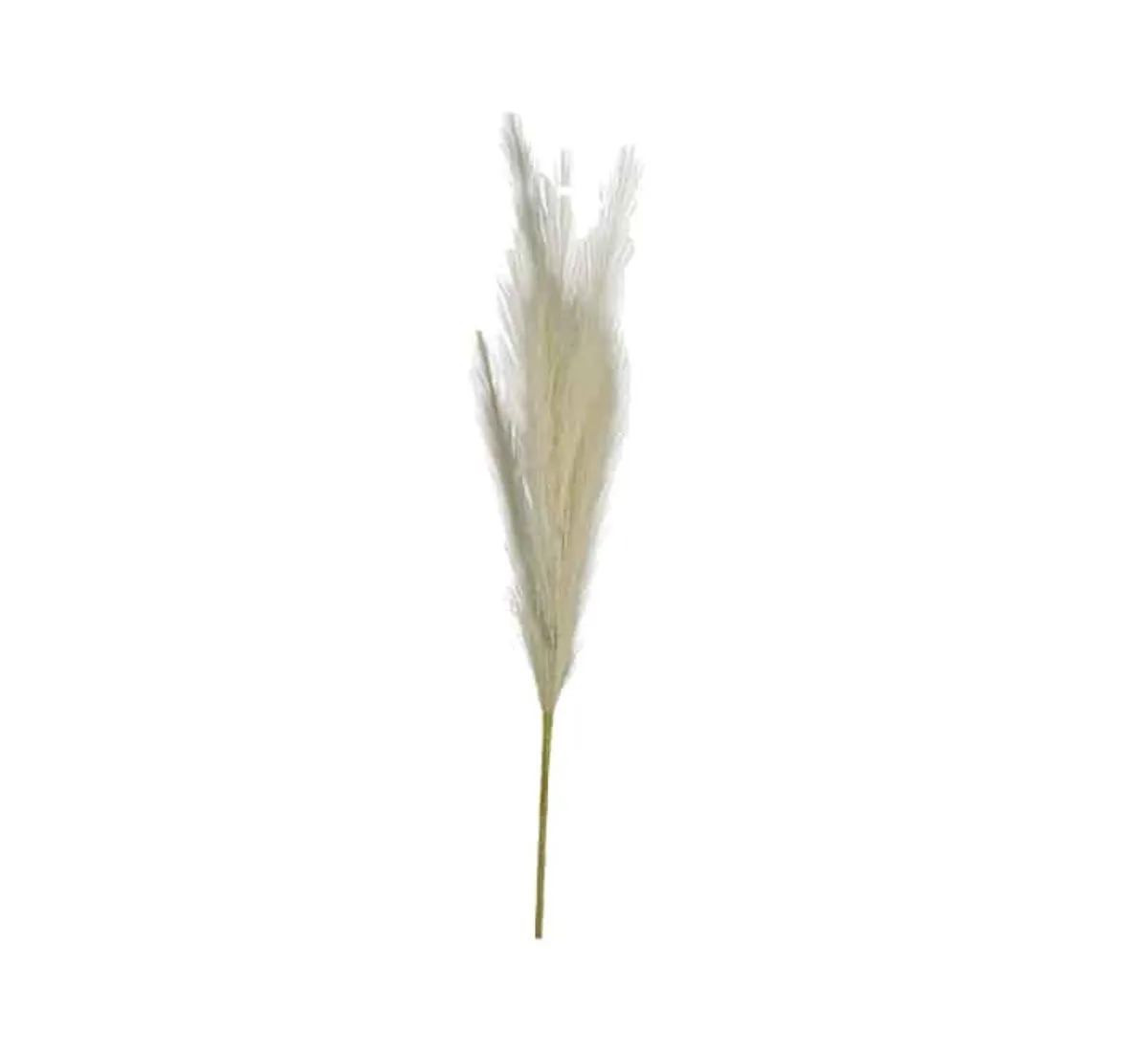 Artificial Pampas 40cm - beige 