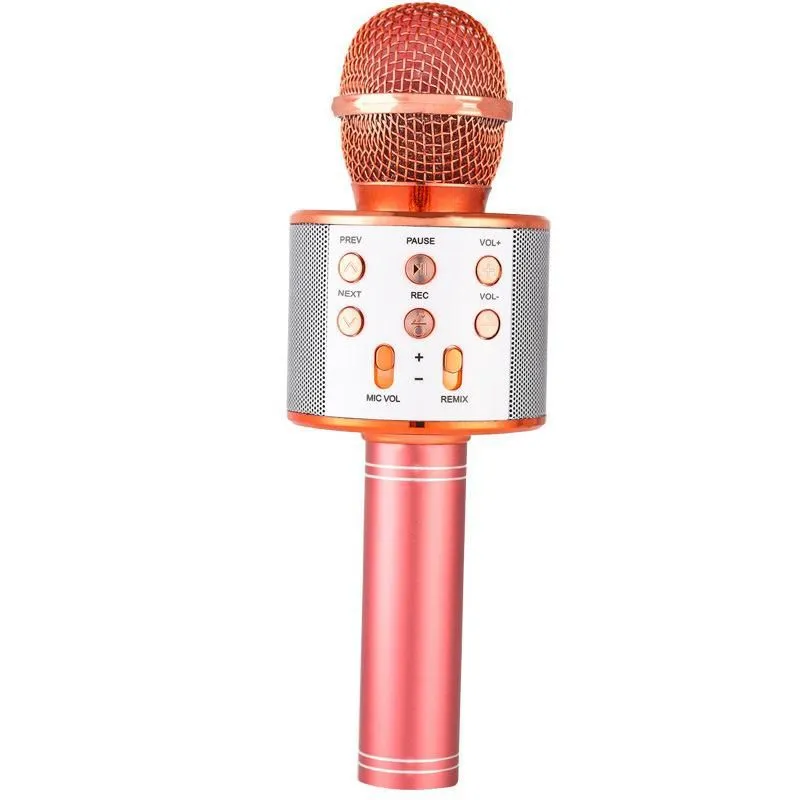Wireless Bluetooth Karaoke Singing Microphone for Kids - Rose Gold