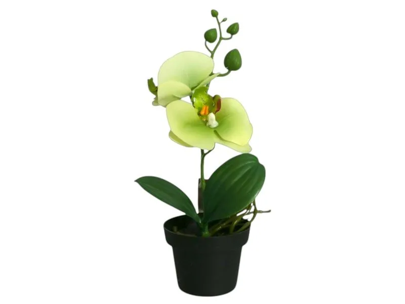 Artificial Orchid in Black Pot 20CM - Yellow
