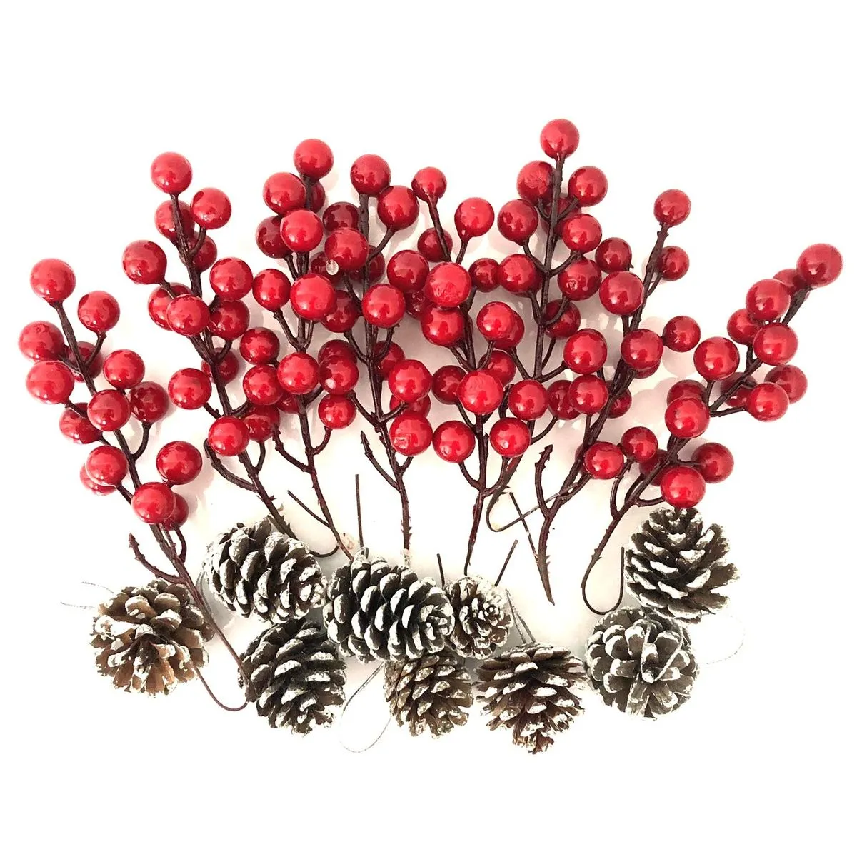Jack portable bulk pack of holly red berrries and dried pine cones