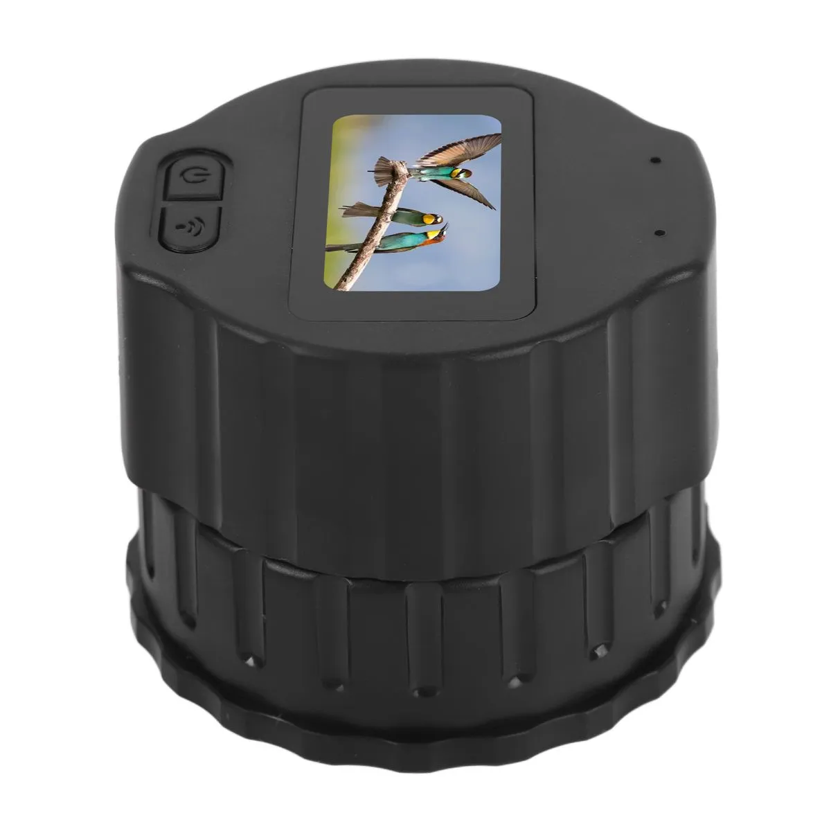 Eyepiece compatible with birdwatching
