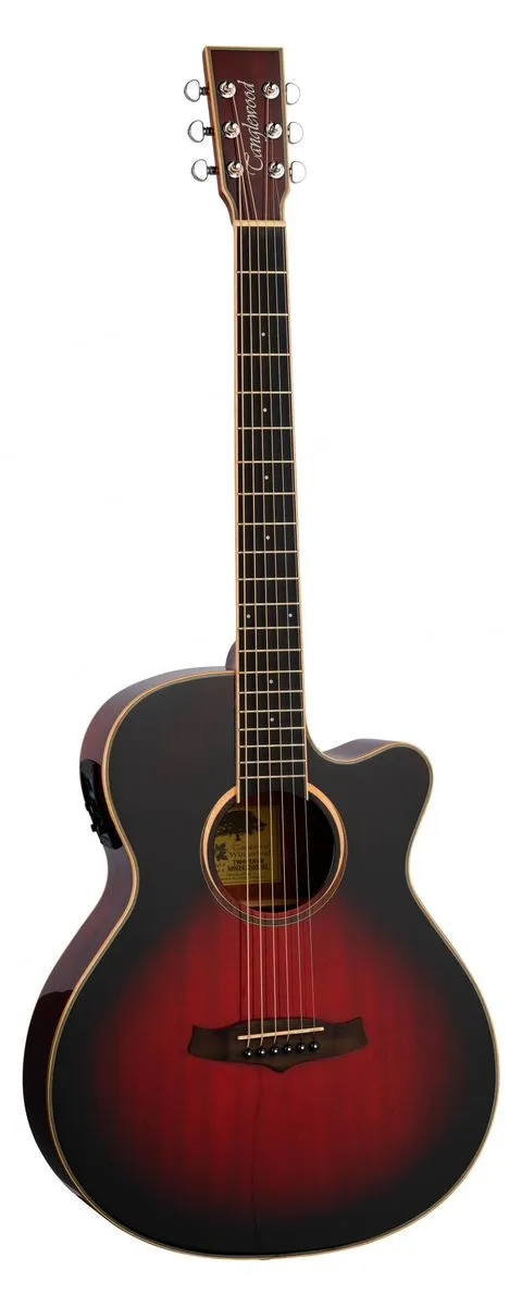 TANGLEWOOD Winterleaf Superfolk All Mahogany Autumn Vintage Burst With Bag