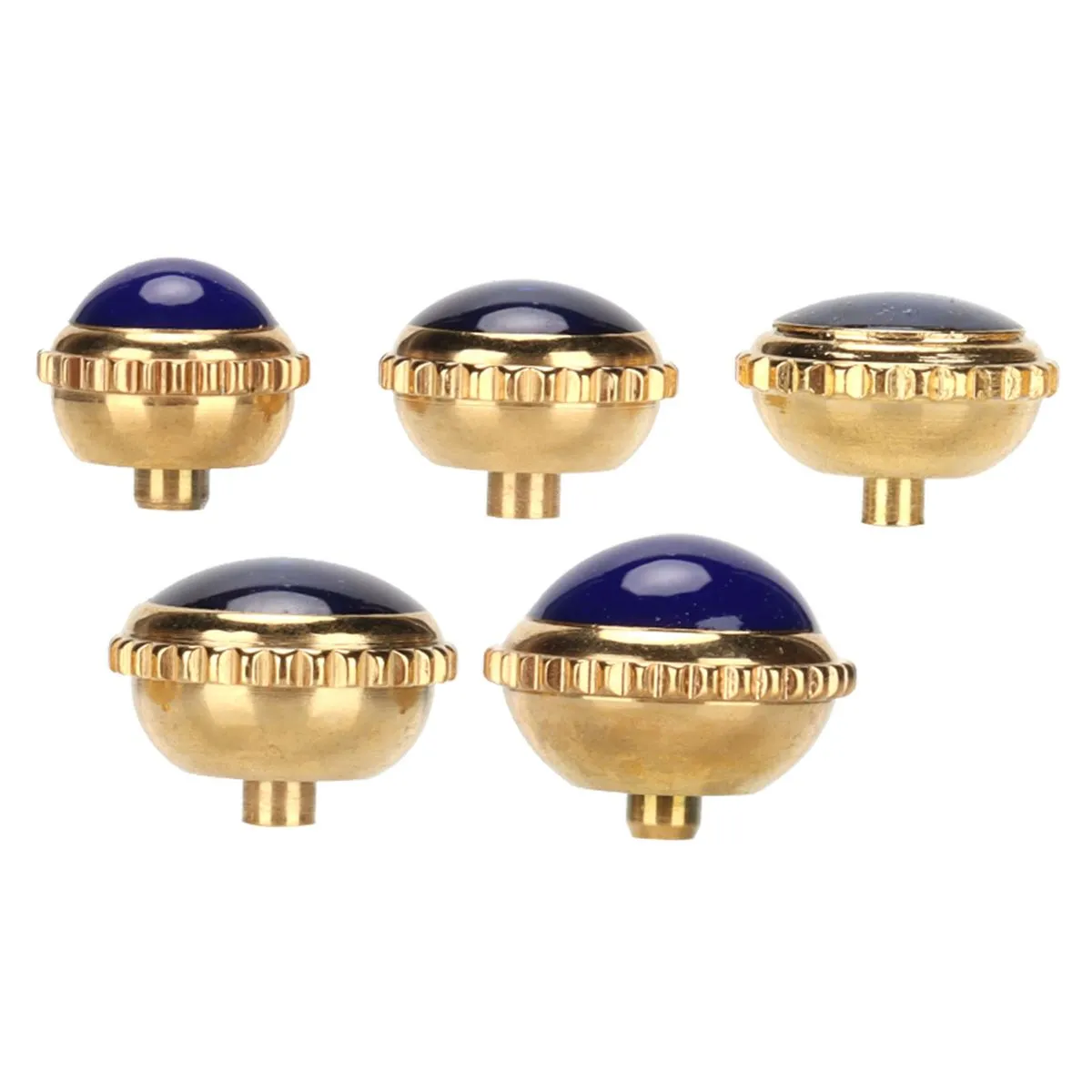 Watch Crown Steel Gold 5pcs Professional Repair Kit