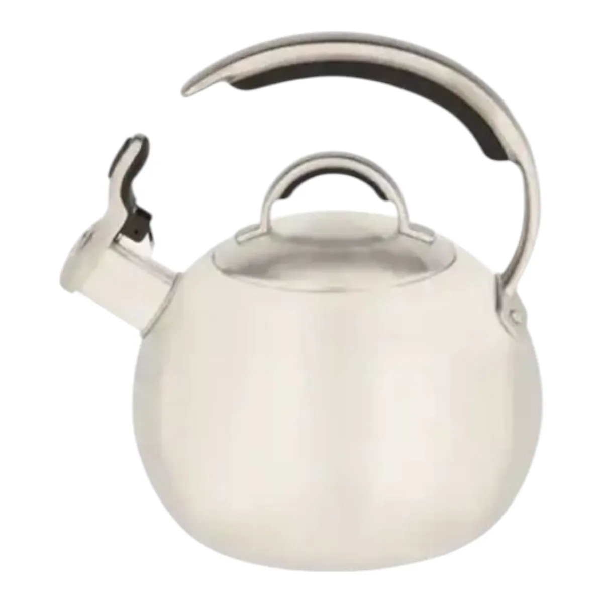 Silver Stainless steel Stainless Steel Stovetop Kettles