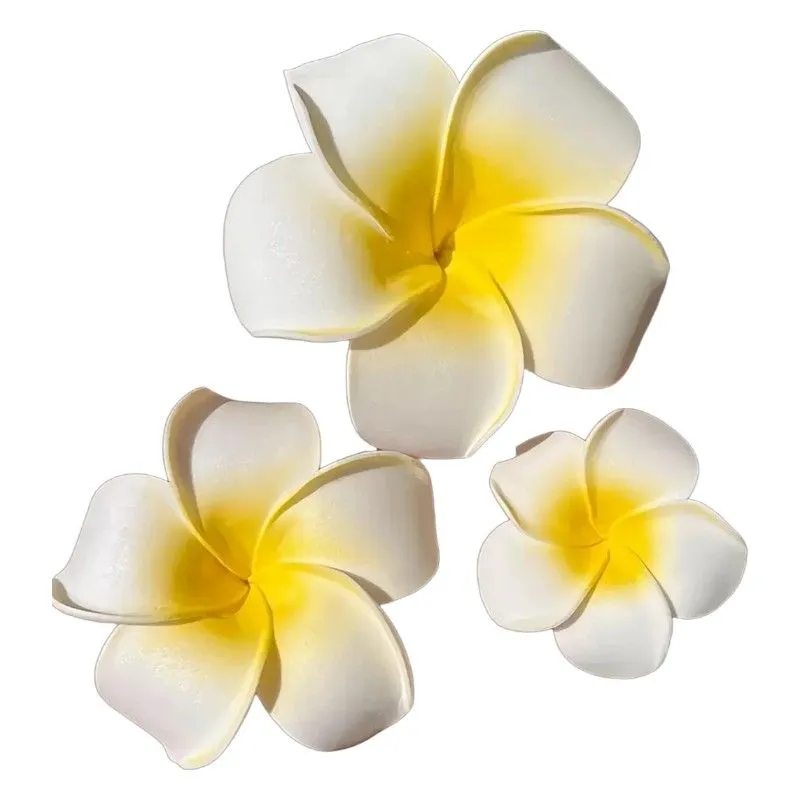 3-Piece Boho Tropical Flower Hair Clip Set