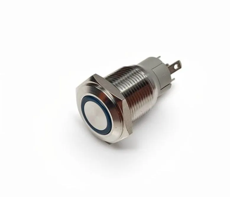 Lumeno Stainless Steel Switch