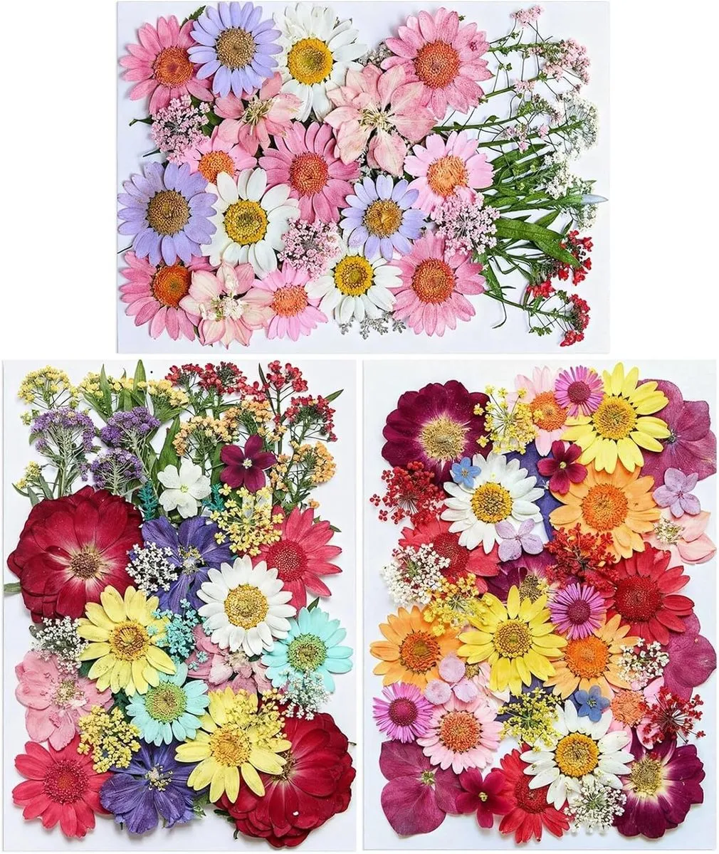 Diy Dried Pressed Flower Kit, Vibrant Natural Craft Set For Resin Art