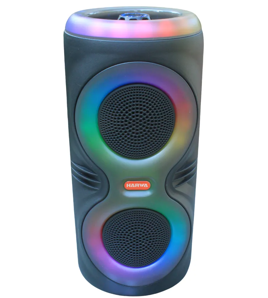 Portable Bluetooth Speaker with RGB Lights & FM Radio