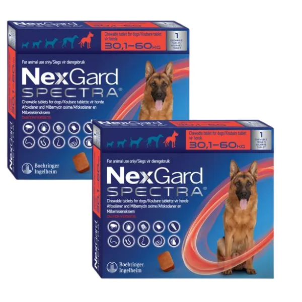 Nexgard Spectra Chewable Tablet For Dogs 30,1-60,0kg -Tick & Flea - 2 Pack