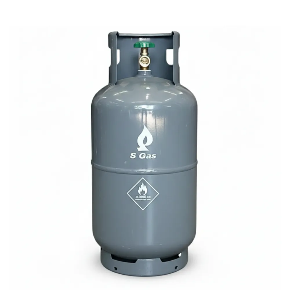S Gas LPG Cylinder - 9kg - Portable - Grey