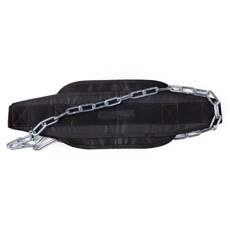 Dip Belt with Chain and 2 Carabiners