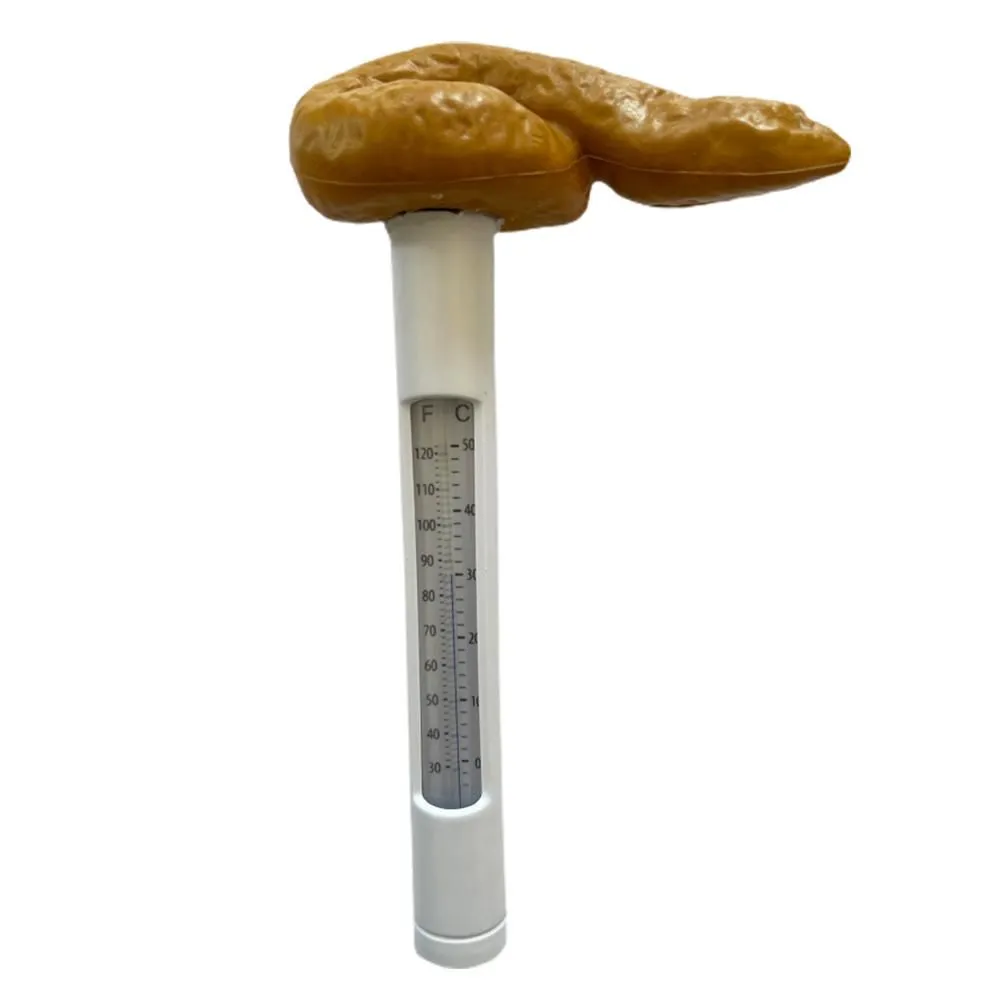 Novelty Floating Pool Thermometer