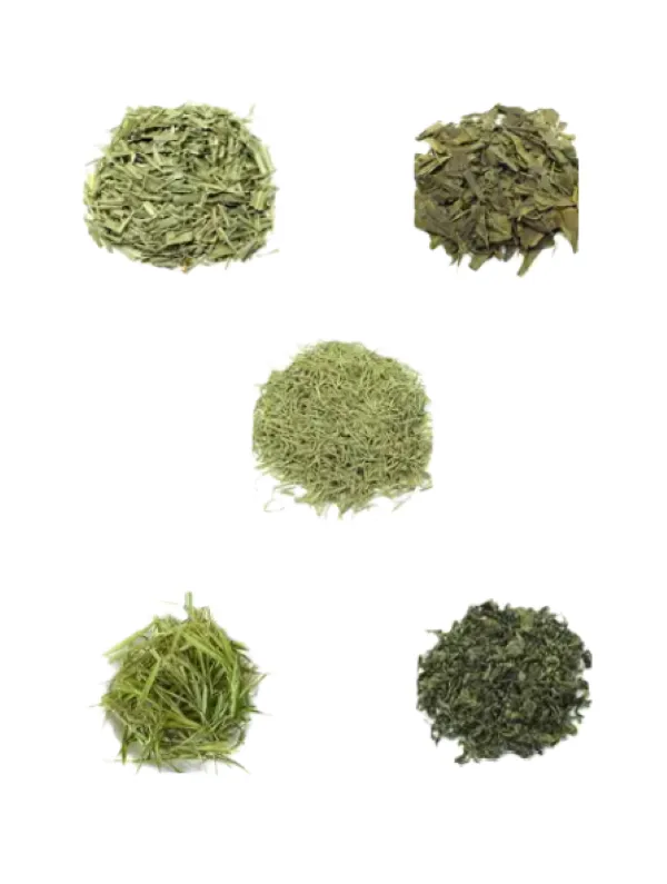 Dried Flowers Variety Pack - Green mix