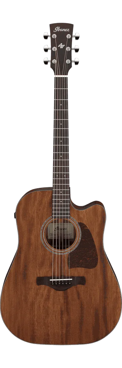 Ibanez AW1040CE Acoustic-Electric Guitar - Open Pore Natural