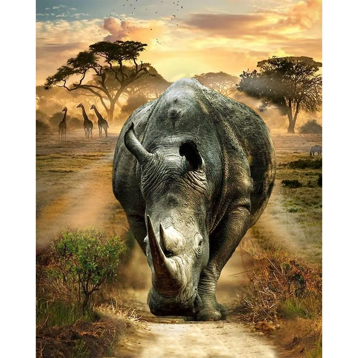 Artikon Paint By Numbers DIY 40cmx50cm Frame - Sunshine Rhino