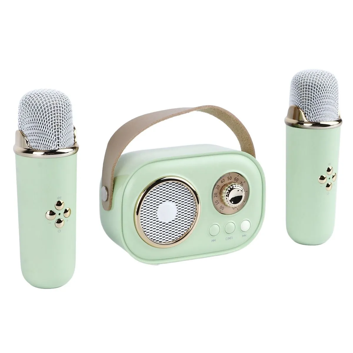 Mini Karaoke Machine, 2 Mics, BT
