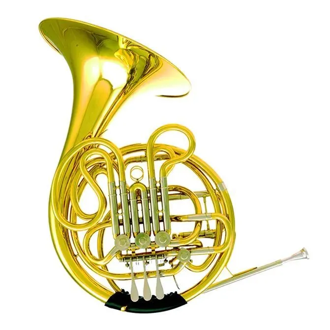 Double F/B-flat Horn for intermediate to advanced level use (student model)