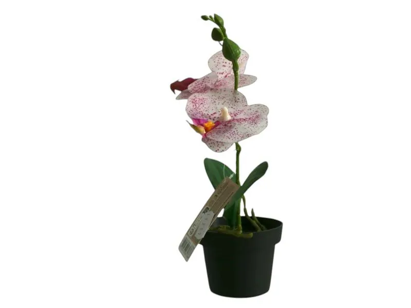Artificial Orchid in Black Pot 20CM - Purple