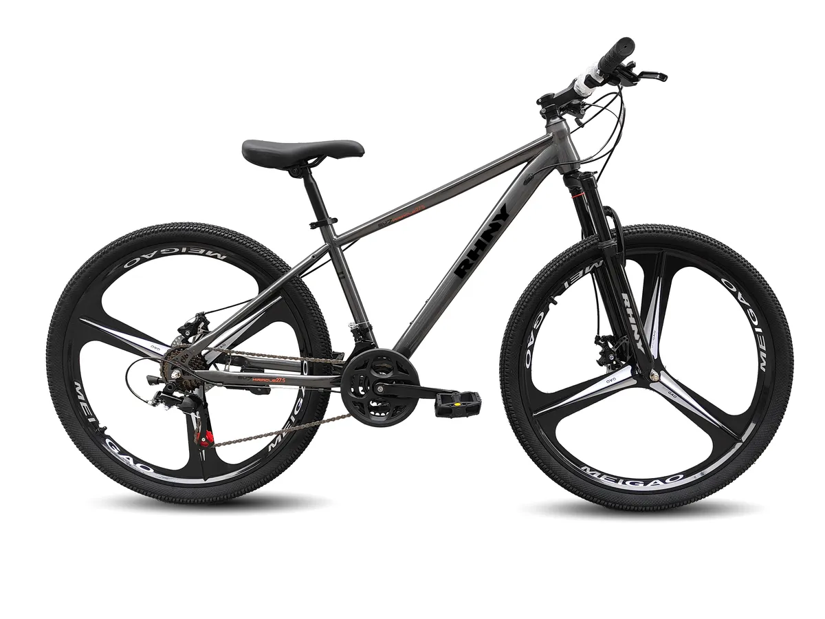 Oakland Bicycle,Steel 21 Speed Mountain Bike. - Dark gray