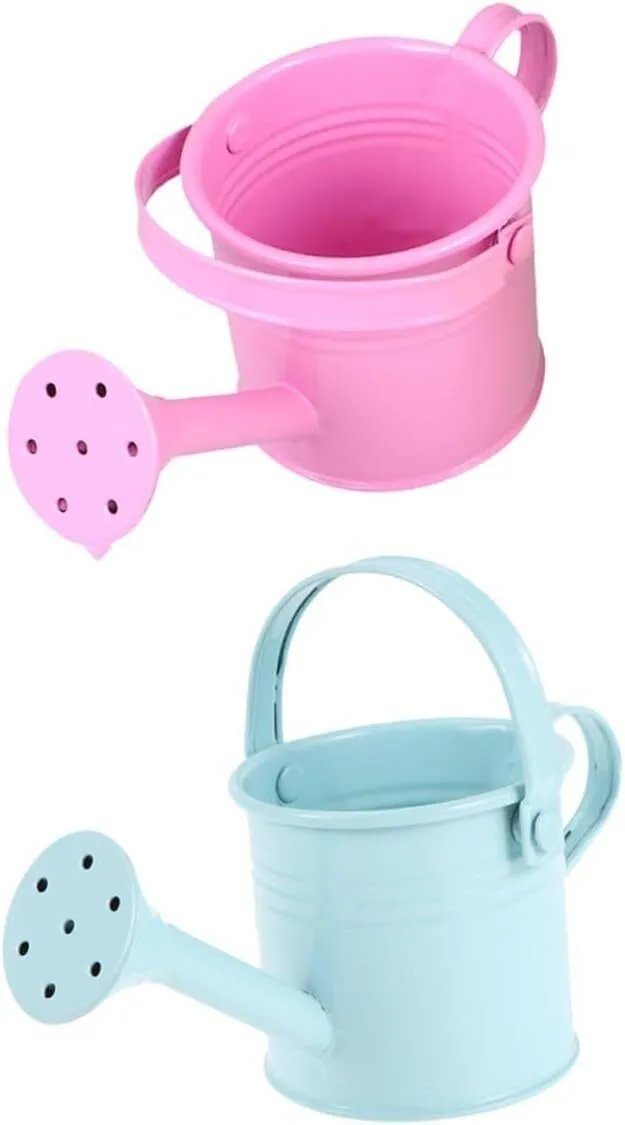 Long Spout Iron Sheet Watering Kettles Gardening Tools for Succulents